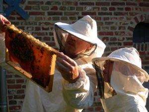 Bijenhouden in Frankrijk